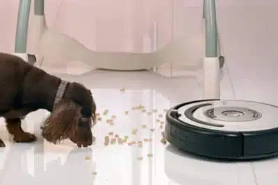 Robô Inteligente Testado em Shenzhen: Inovação que Revoluciona a Limpeza Doméstica!