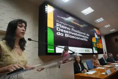 Bioeconomia: Como o PNDBio conecta projetos e o sistema financeiro nacional?