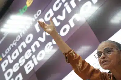 Marina Silva e o desafio em São Paulo: o que espera pela pauta ambiental?