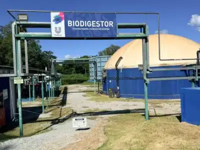 Hellmann’s transforma resíduo em energia limpa com IA em Pouso Alegre! Veja como