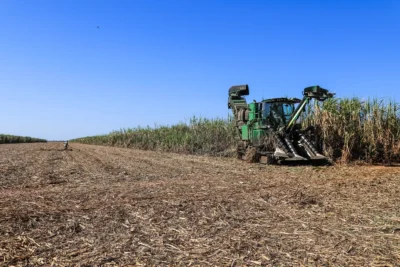 Setor sucroalcooleiro: o que muda para investidores em 2026? BTG alerta!