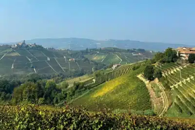Piemonte em 2026: Como a Nebbiolo une tradição e vinhos de nova geração?